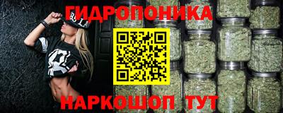 скорость Будённовск